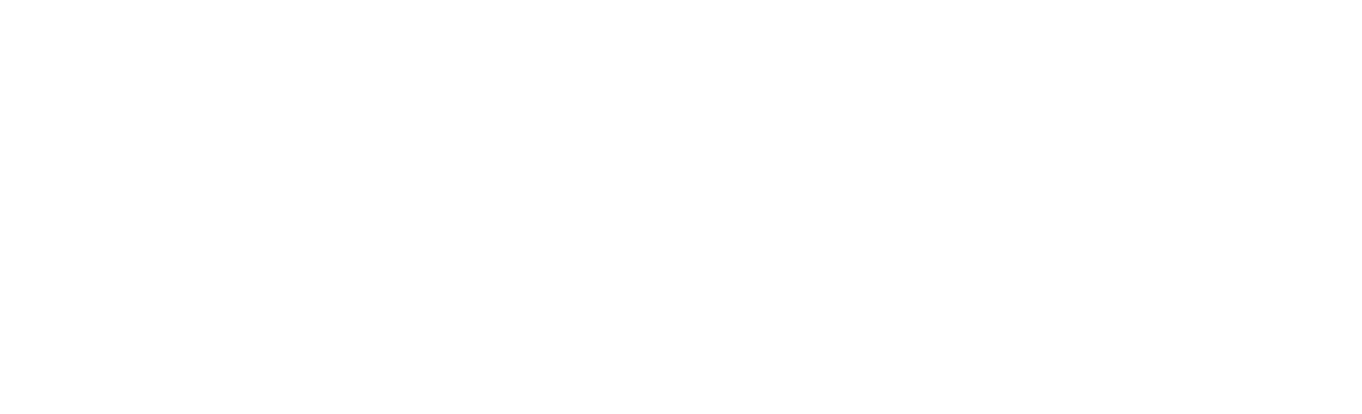 FIZBO Logo White